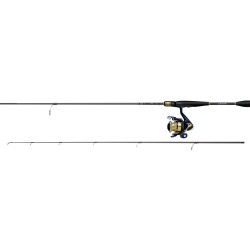 Combo Daiwa RS