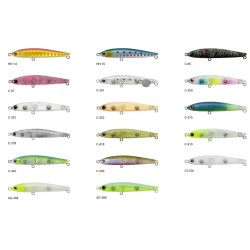 Paseante Bassday Spm